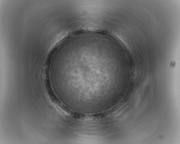 X0000091710738200709141119