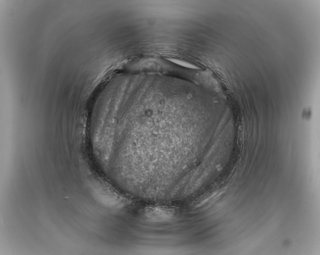 X0000091710739200709141119