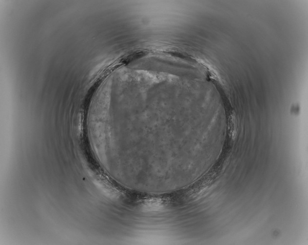 X0000091710740200709141119