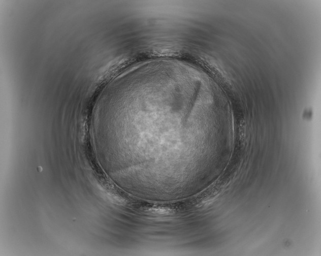 X0000091710741200709141119