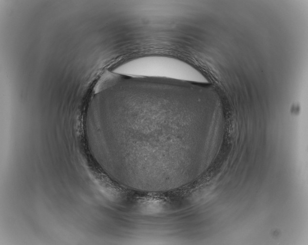 X0000091710743200709141119