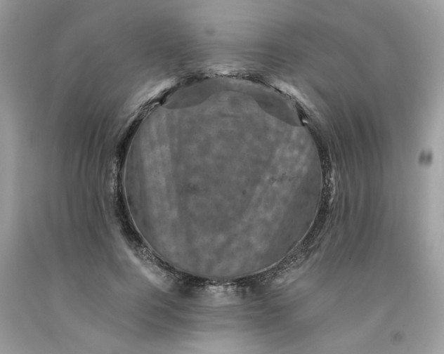 X0000091710744200709141119