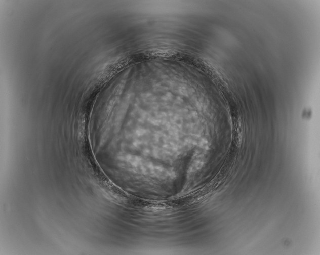 X0000091710745200709141119