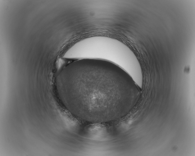 X0000091710750200709141120