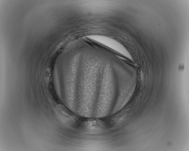 X0000091710752200709141120