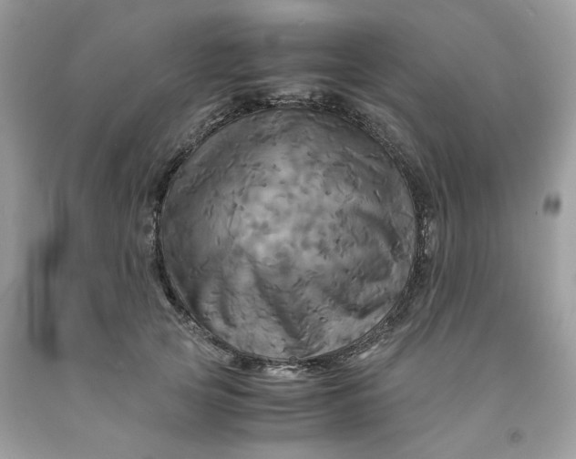 X0000091710753200709141120