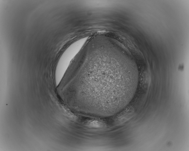 X0000091710755200709141120