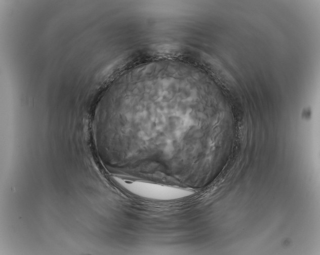 X0000091710757200709141120