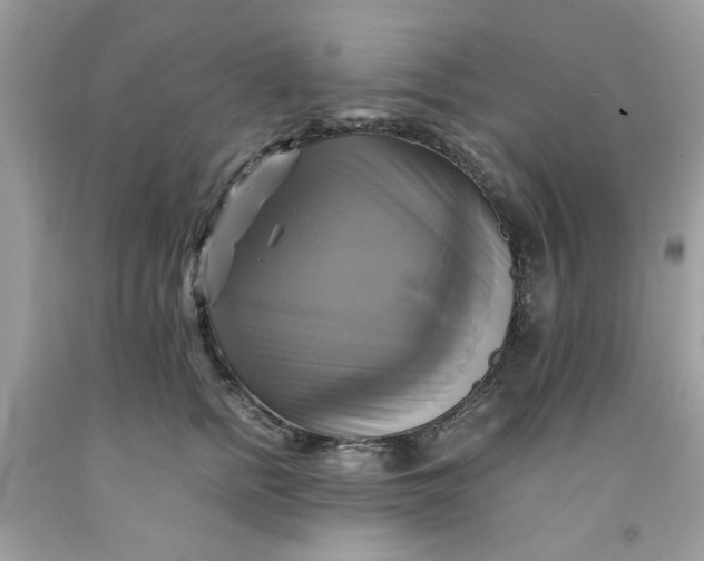 X0000091710758200709141120