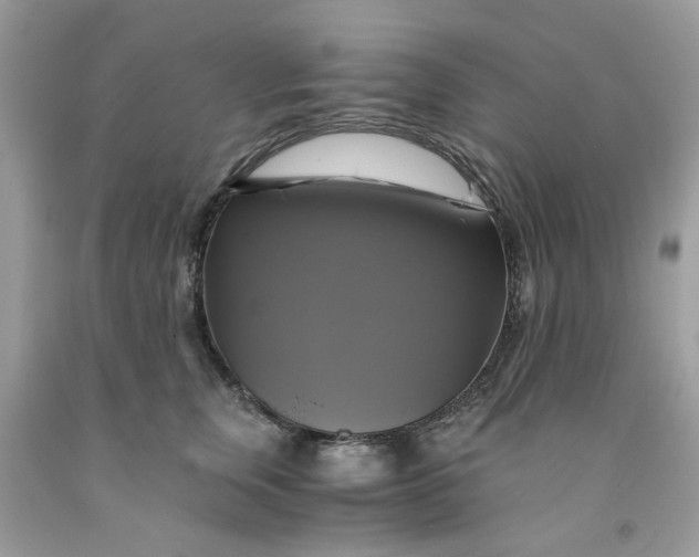 X0000091710759200709141120