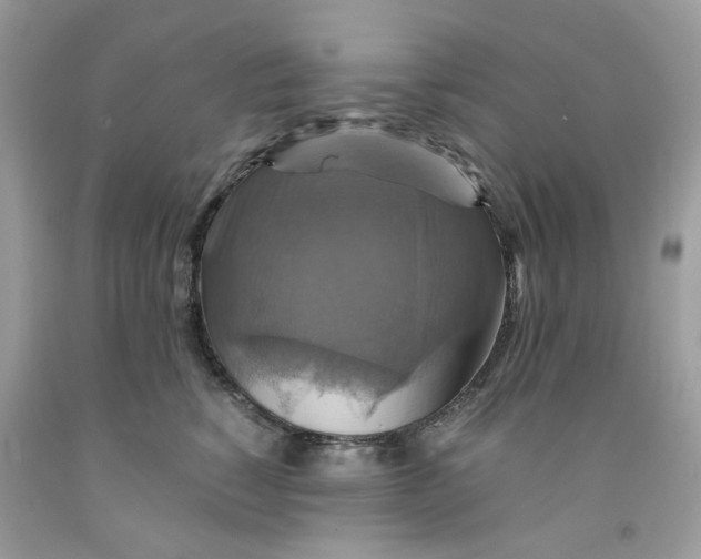 X0000091710760200709141120