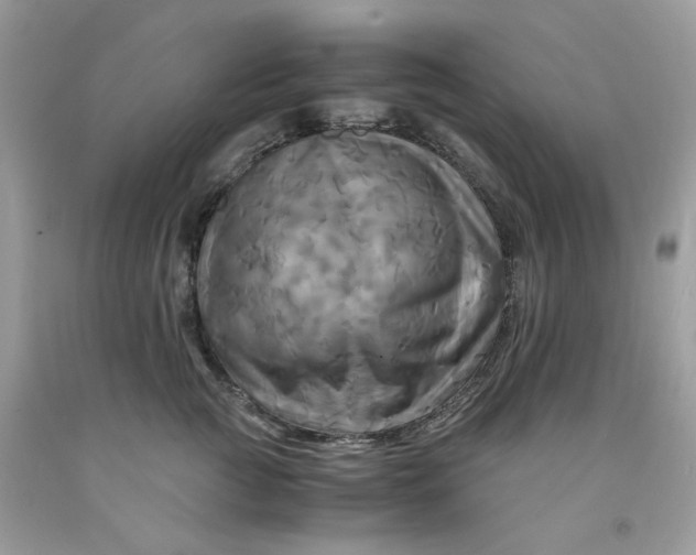 X0000091710761200709141120