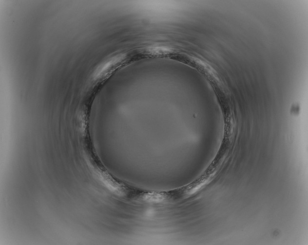 X0000091710762200709141120