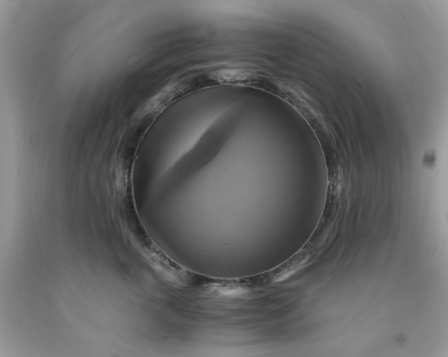 X0000091710763200709141120