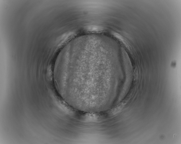 X0000091710764200709141120