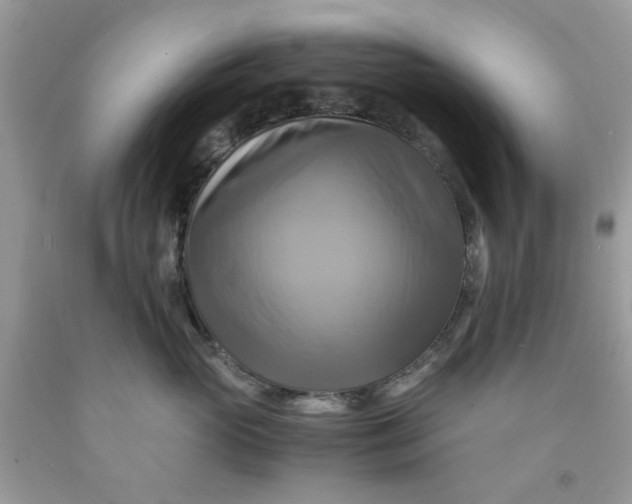 X0000091710765200709141120