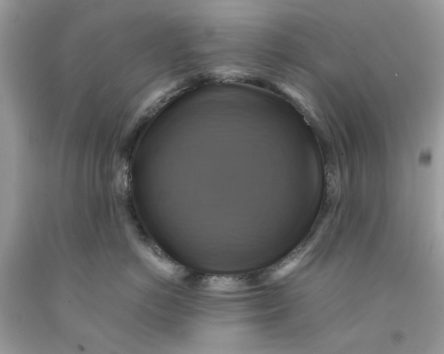 X0000091710766200709141120