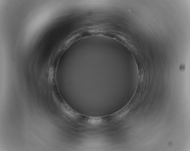 X0000091710767200709141120