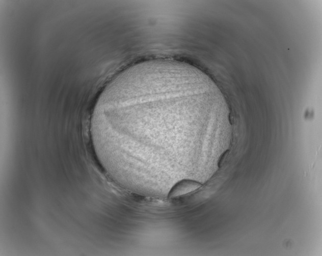 X0000091710768200709141120