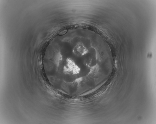 X0000091710771200709141119