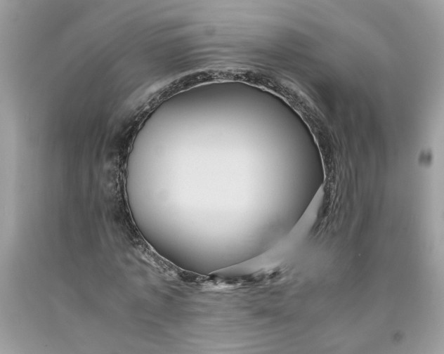 X0000091710773200709141119