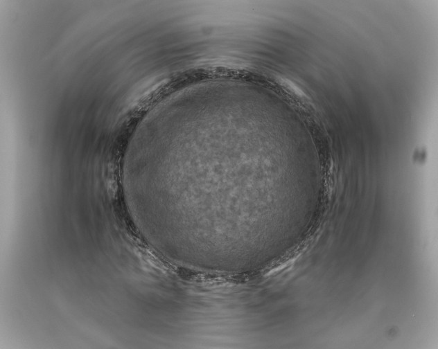 X0000091710774200709141119