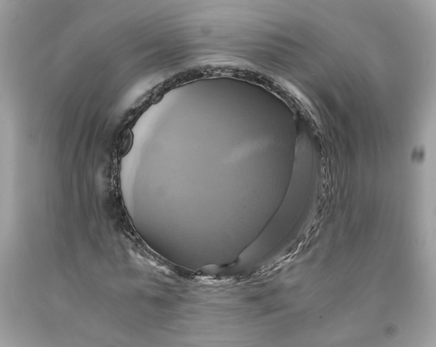 X0000091710775200709141119