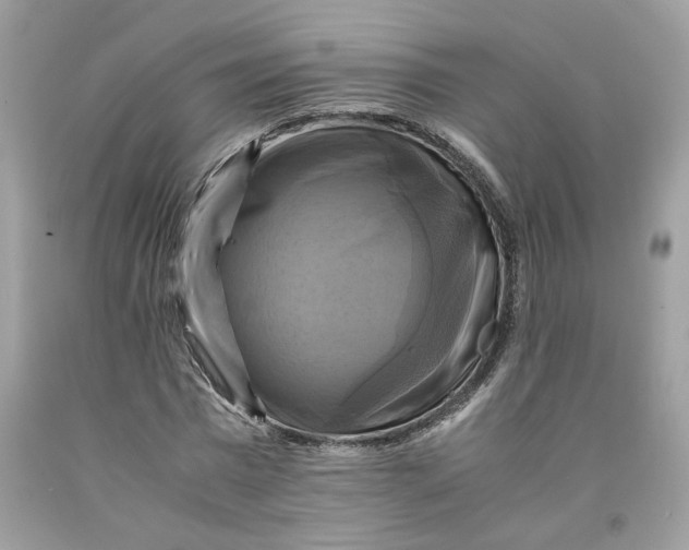 X0000091710777200709141119