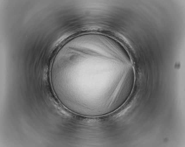 X0000091710778200709141119