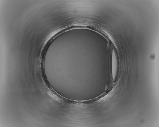 X0000091710779200709141119