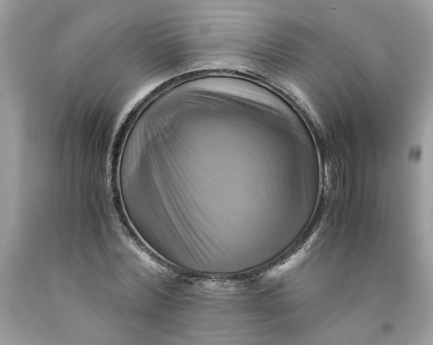 X0000091710780200709141119