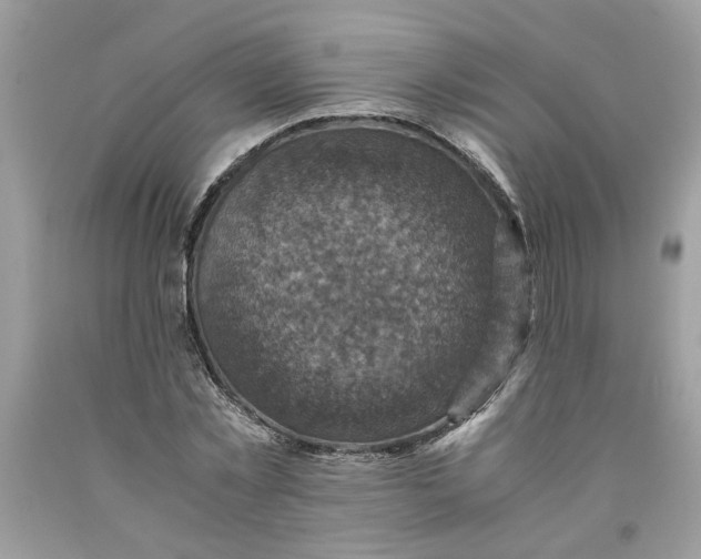 X0000091710781200709141119