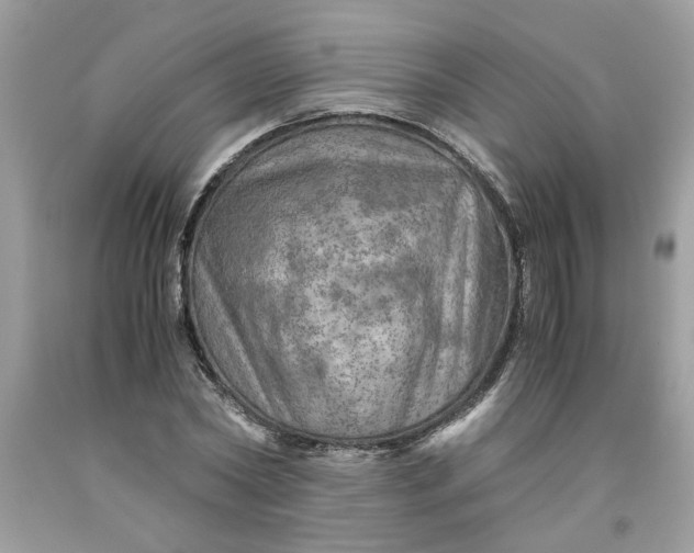 X0000091710782200709141119