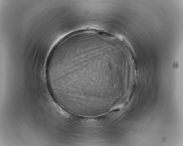 X0000091710784200709141119