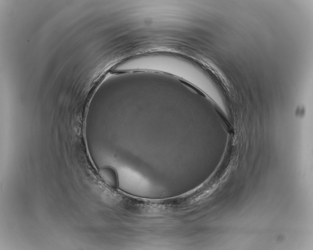 X0000091710785200709141119