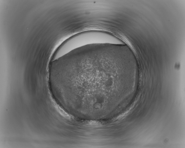 X0000091710787200709141119