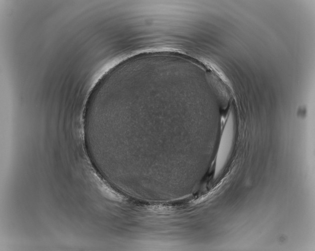 X0000091710789200709141119