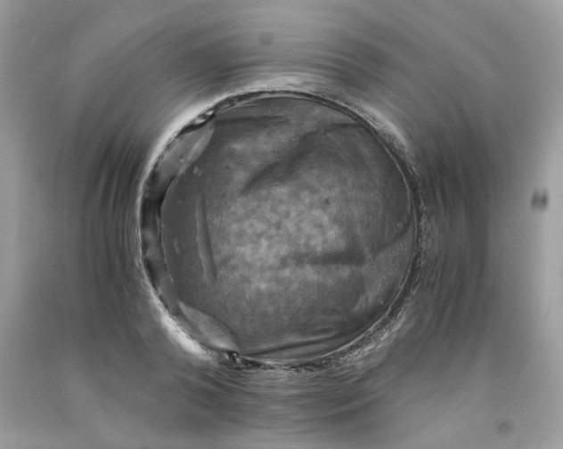 X0000091710792200709141119