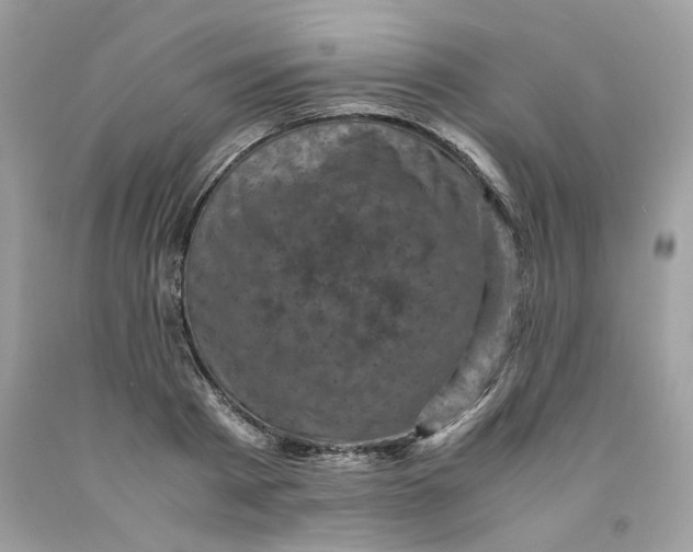 X0000091710793200709141119