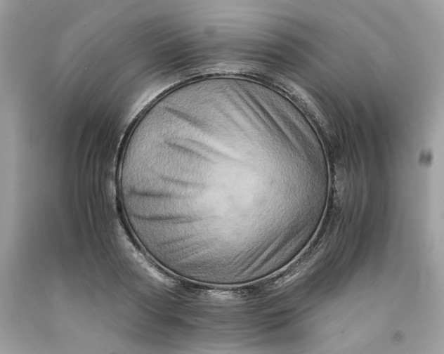 X0000091710794200709141119