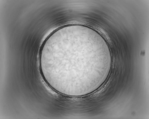 X0000091710796200709141119