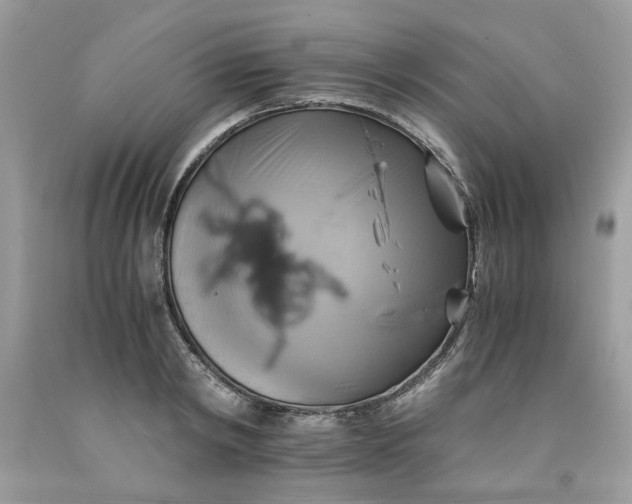 X0000091710798200709141119