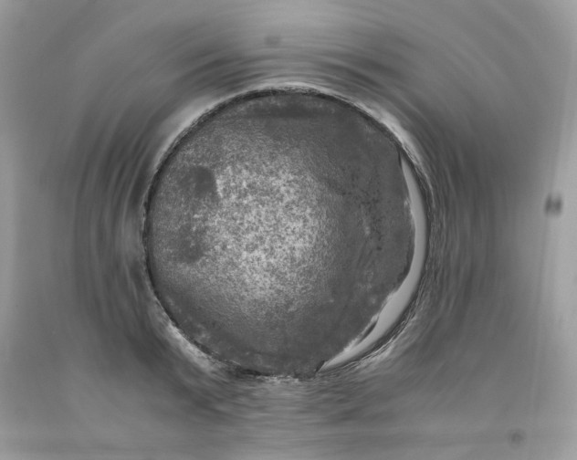 X0000091710799200709141119