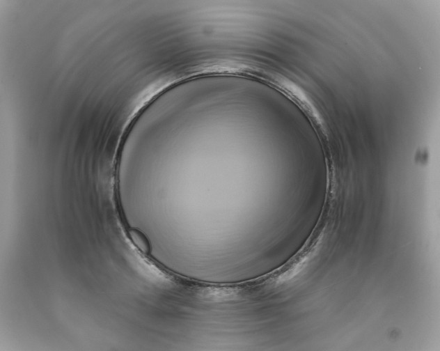 X0000091710802200709141119