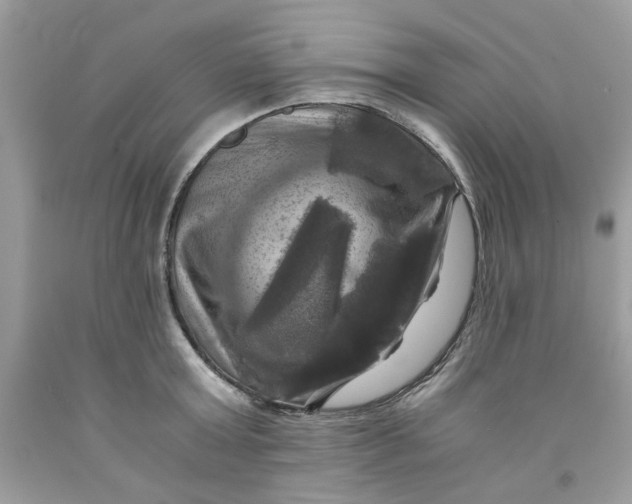 X0000091710803200709141119