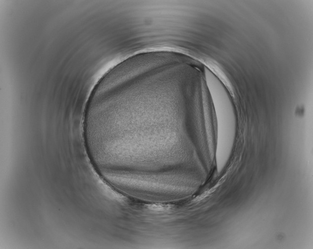 X0000091710805200709141119