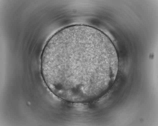 X0000091710807200709141119