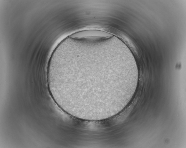 X0000091710808200709141118