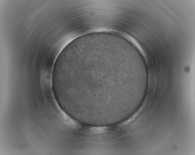 X0000091710810200709141118