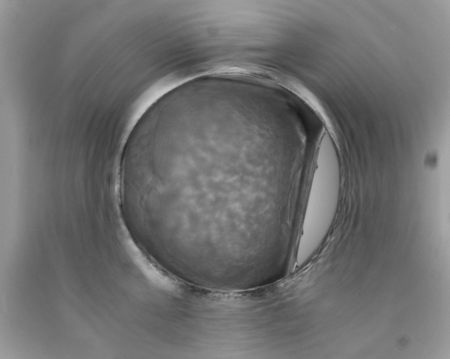 X0000091710811200709141118